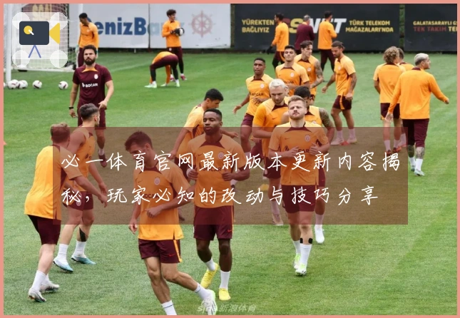 必一体育官网最新版本更新内容揭秘，玩家必知的改动与技巧分享