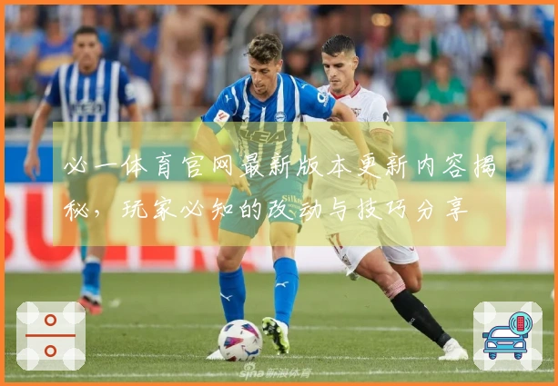 必一体育官网最新版本更新内容揭秘，玩家必知的改动与技巧分享